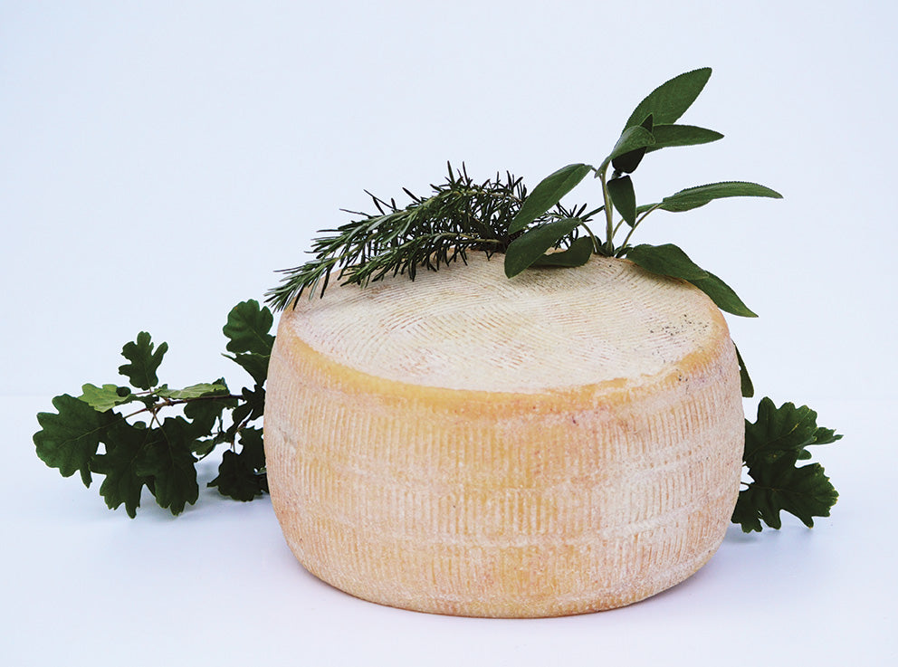 Il Pecorino “Alta Murgia” Coratino
